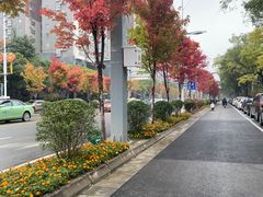 -城市运动公园(未央区)