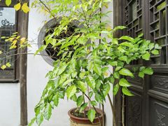 -潜研堂钱大昕故居