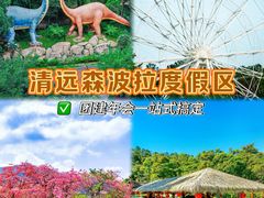-佛冈森波拉度假区