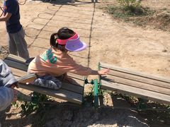 -天津武清北运河郊野公园房车露营地