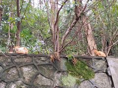 -敬亭山风景名胜区