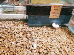 -西贝海鲜汇(槐安路店)