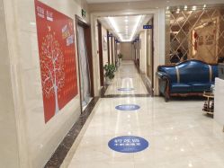 -碧莲盛·不剃发植发