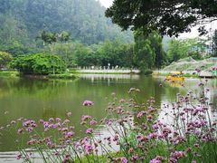 -南沙蒲洲花园