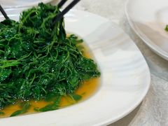 -抚顺美食·老上海味道