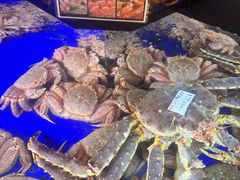 -蟹道乐(道顿堀本店)