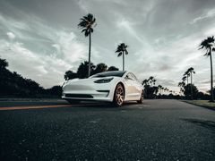 -TESLA 特斯拉(深圳观澜特斯拉直营钣喷中心)