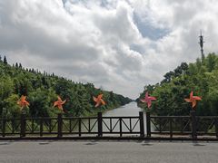 -黄海国家森林公园