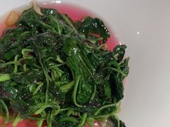 -临江·阅炉