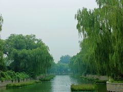 -皇家御河游(紫御湾码头)