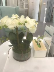 -时光海科学美肤中心