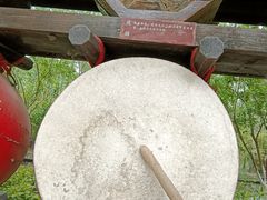 -合肥滨湖国家森林公园