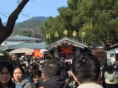 -灵顺寺