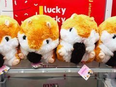 -LLJ夹机占(清河万象汇店)