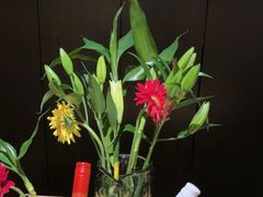 -庐灶江南·江南菜·四合院Bistro(东直门雍和宫·原华侨宾馆店)