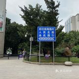 老广爱饮茶