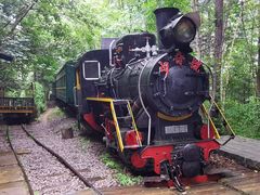 -五营红松林海景区