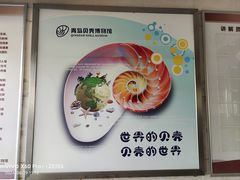 -青岛贝壳博物馆