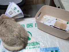 -瑞派宠物医院·24h·骨外科·皮肤科·全科宠物医疗转诊中心(沈阳浑南院)