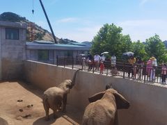 -西霞口神雕山野生动物世界