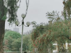 -人民公园(罗湖区)