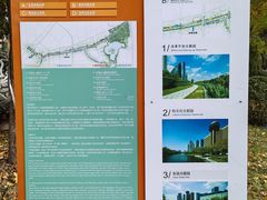 -三里屯东五街银杏大道