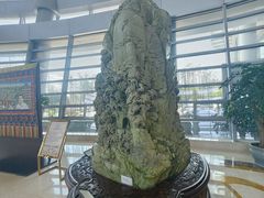 -华西村