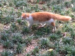 -晓港公园