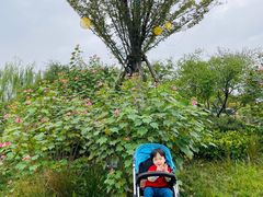 -雅达·阳羡溪山小镇中心