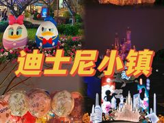-迪士尼小镇