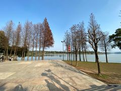 -松山湖凯悦酒店·Café自助餐厅·周末火舞秀表演