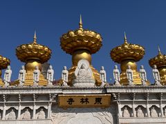 -上海东林寺(金山区)