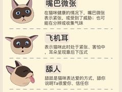 -翊宠yipet猫狗购宠庄园犬舍•猫舍