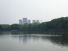 -艾溪湖湿地公园
