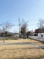 -前小桔亲子创意农场·草莓采摘·露营烧烤