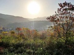 -塔川景区