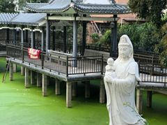-长洲岛