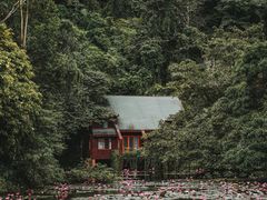 -野象谷景区