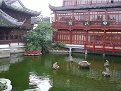 -绿波廊七号(豫园新路店)