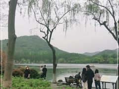 -西湖外事游船(花港观鱼码头)