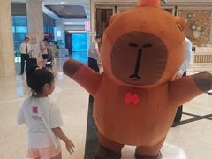 -廊坊固安福朋喜来登酒店