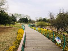 -潇河湿地公园
