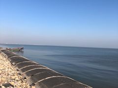 -东疆建设开发纪念公园