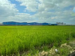 -谷丰健康凤贤居酒家