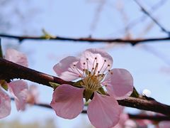 -黑龙江省森林植物园