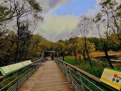 -西湖风景区-江洋畈生态公园