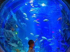 -沈阳海洋探索中心