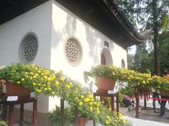 -汇龙潭
