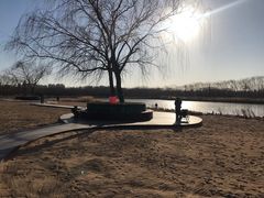 -大兴滨河森林公园