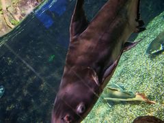 -太平洋海底世界